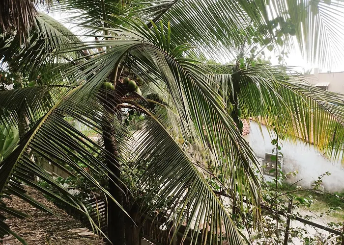 Pousada Tropical Brasil Jeri Jijoca de Jericoacoara